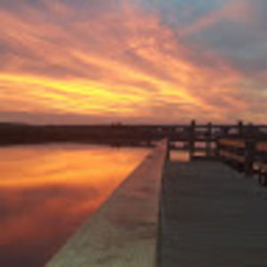 Meet your Posher, Valsa